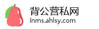 背公营私网
